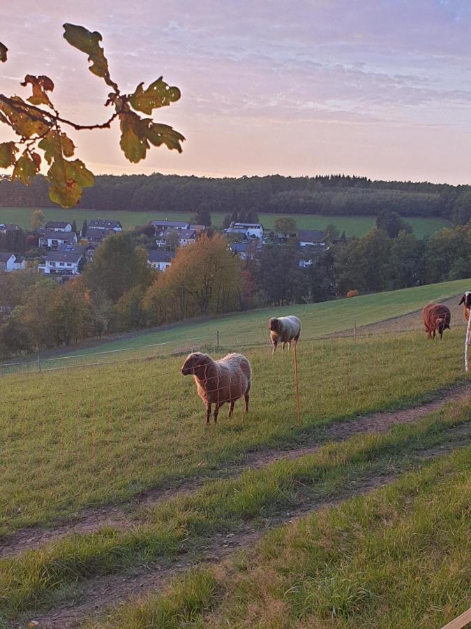 Andinas Ferienwohnung In Ruhiger Lage Direkt Am Wald Wilnsdorf Exteriör bild
