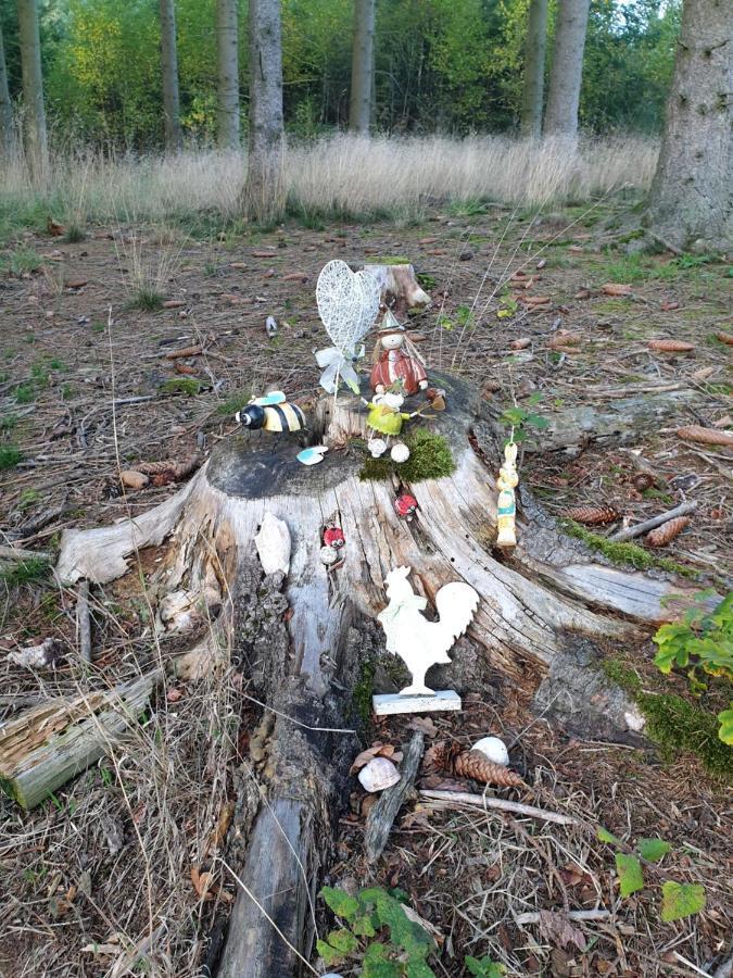 Andinas Ferienwohnung In Ruhiger Lage Direkt Am Wald Wilnsdorf Exteriör bild